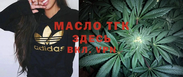 индика Протвино