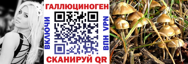 Галлюциногенные грибы мицелий  продажа наркотиков  Белоярский 